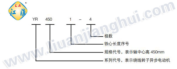 YR高压三相异步电动机_型号意义说明_六安江淮电机有限公司