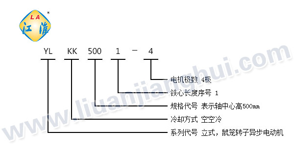 YLKK高压立式三相异步电动机_型号意义说明_六安江淮电机有限公司