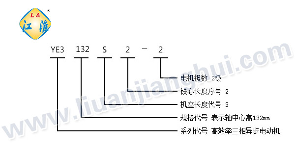 YE3系列三相异步电动机_型号意义说明_六安江淮电机有限公司